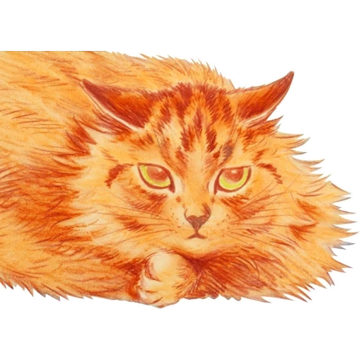 cat, ginger cat, the cat is red, red haired cat, luis william wayne