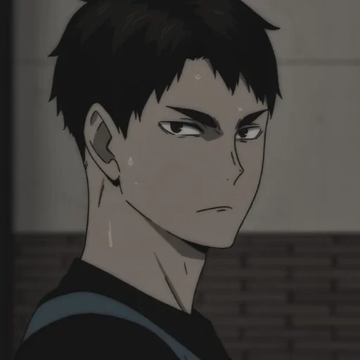 ushijima, anime di pallavolo, ushijima vakatoshi, zashivak oikawa kageyama, personaggi di pallavolo anime