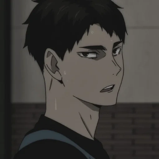 ushijima, vakatoshi entschuldigung, vakatoshi ushijima, ushijima volleyball, charaktere anime volleyball