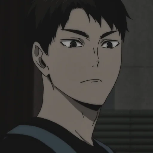 haikyuu, ushijima, vakatoshi ushijima, ushijima wakatoshi, karakter anime voli