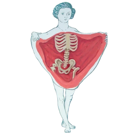ilmu urai, kerangka seorang wanita, tubuh manusia, venus anatomi, ilustrasi medis