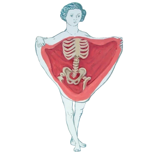 anatomia, lo scheletro di una donna, corpo umano, venere anatomica, illustrazioni mediche