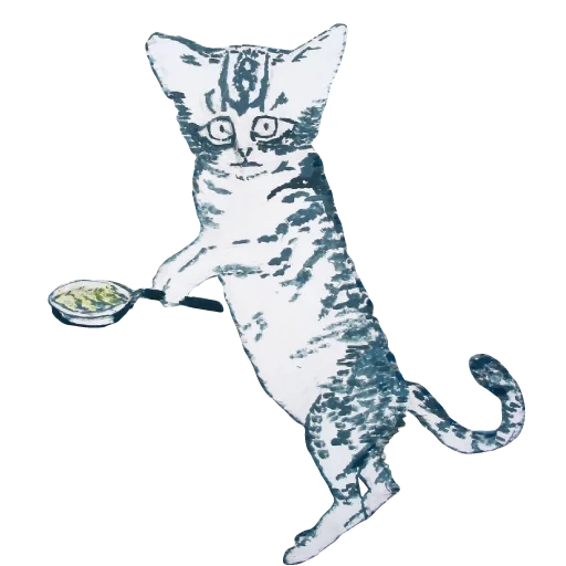 gato, gato, cat aislado, gato ilustrado, alksandra waiszewska gato