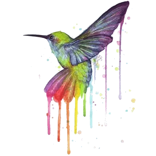 hummingbirds, hummingbird art, hummingbird bird, hummingbird bird, hummingbird drawing