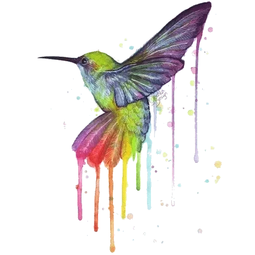 colibríes, arte de colibrí, pájaro de colibrí, pájaro de colibrí, dibujo de colibrí