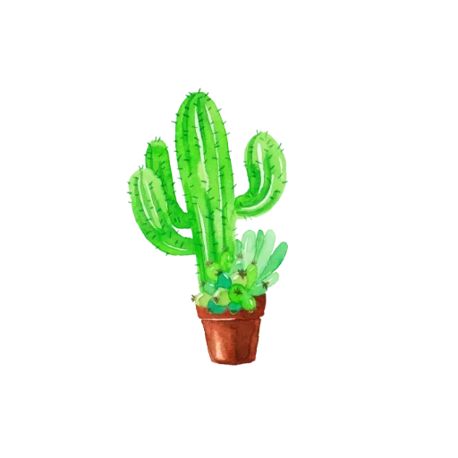 cactus, cactus pot, cactus fiest, picture cactus, cactus plant