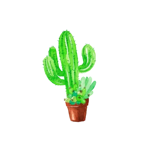 cactus, bote de cactus, fiel de cactus, imagen cactus, planta de cactus