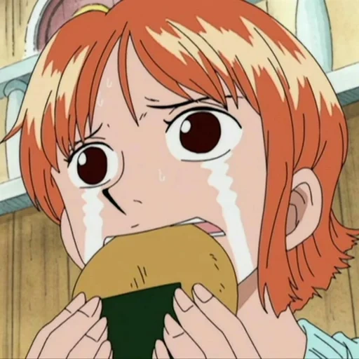 anime, van pies, nantian, one piece anime, anime one piece