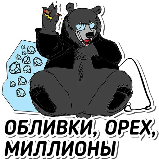 bear, angry bear, black bear, bear bear, black bear baribal