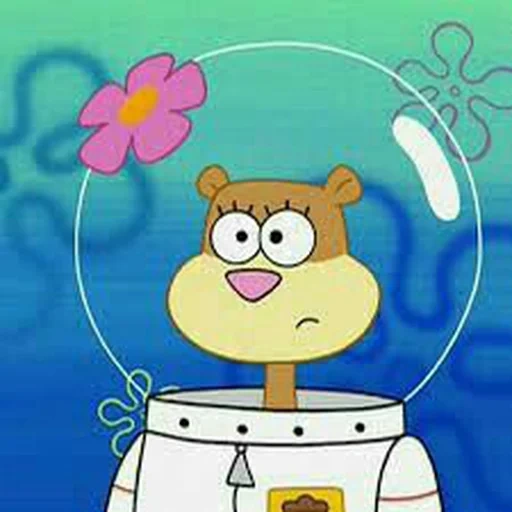 sandy cheeks, spongebob sandy, spongebob sandy chicken, spongebob square pants, spongebob square pants sandy cheeks