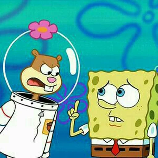 spongebob sandy, sandy bob l'éponge, bob l'éponge bob l'éponge, bob l'éponge sandy chicken, bug du haricot éponge de sandy