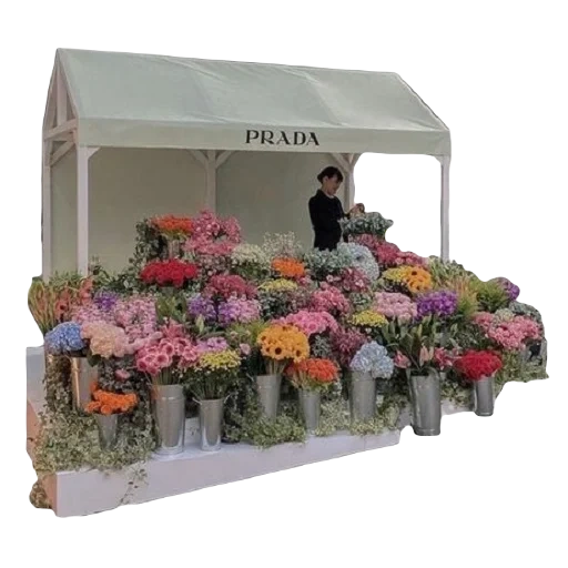 цветы, красивый цветок, цветочный бизнес, цветочный павильон, цветочный бизнес нуля