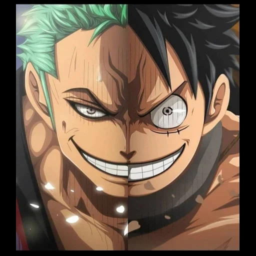 roronoa zoro, manki d luffy, ruffy und zoro, anime one piece, roronoa zoro gegen kamazou