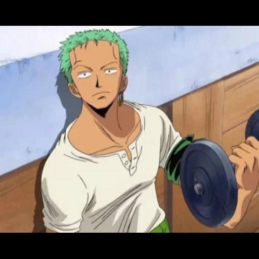 zoro, zoro, conte de fées, myaniméliste, roronoa zoro timskip