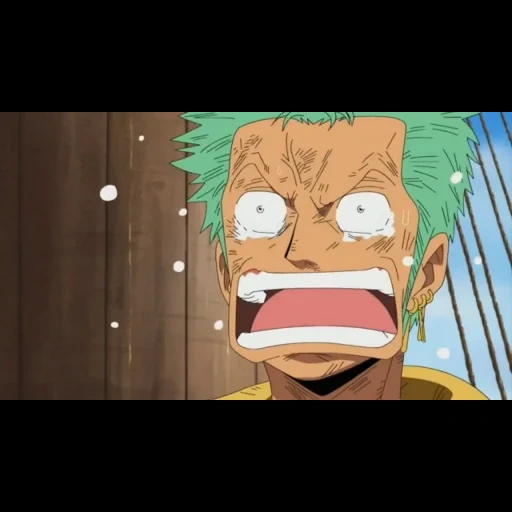 zoro, anime, the anime is funny, one piece anime, anime characters