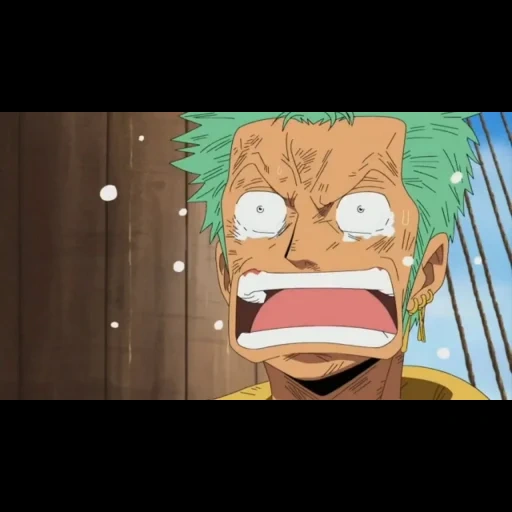 zoro, anime, anime lucu, anime one piece, karakter anime