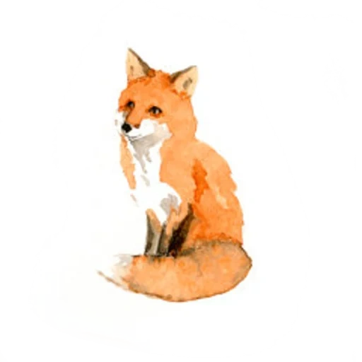 fox, renard renard, motif de renard, motif de renard, modèle foxsi