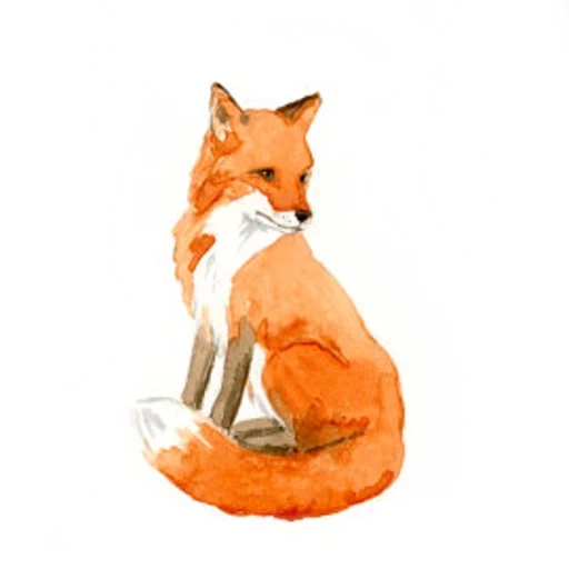 fuchs, fox fox, die figur des fuchs, fuchszeichnung, fuchs verschiedener posen