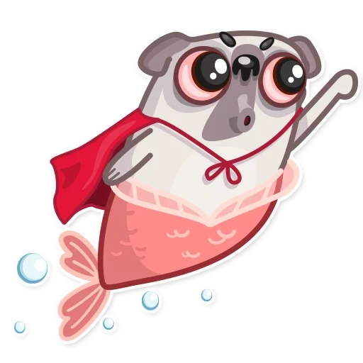 pug, mr pug, water pug