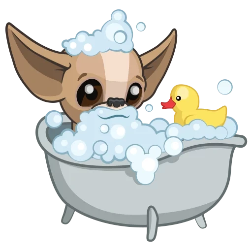 chihuahua, bathroom dog, dog bath vector, chihuahua shower cap, puppy bath illustration