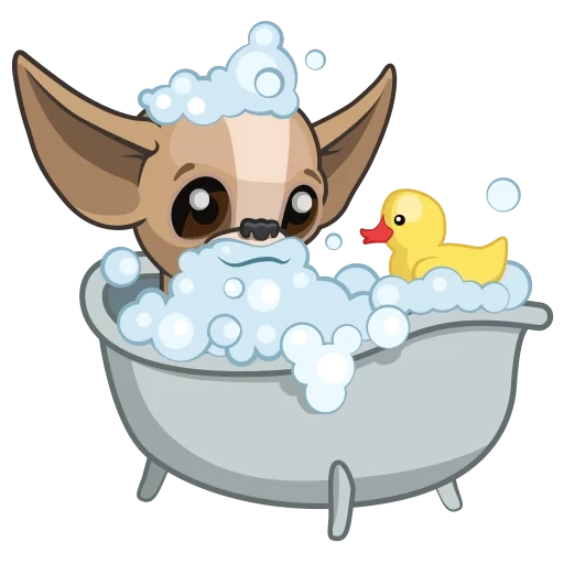 chihuahua, toilet anjing, vektor mandi anjing, topi mandi chihuahua, ilustrasi mandi anak anjing