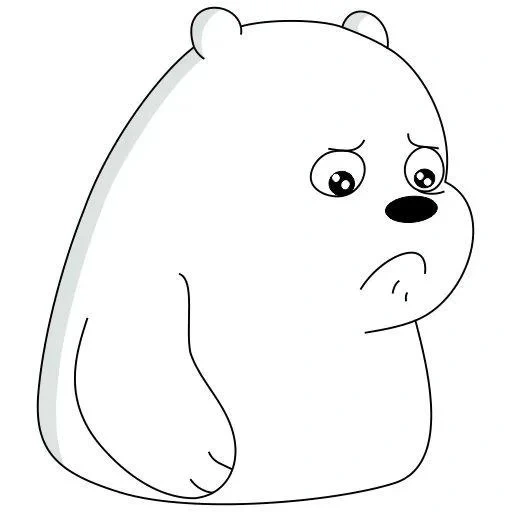 urso, urso branco, padrão de urso, urso engraçado, urso