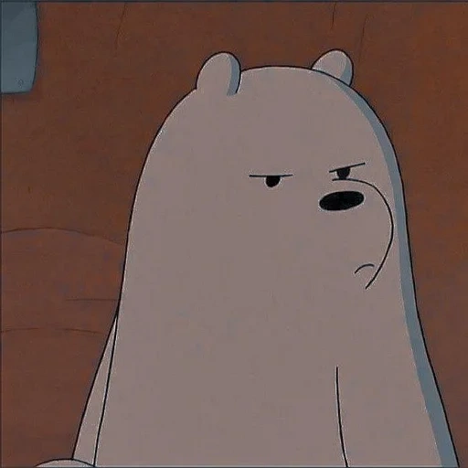 drôle, people, l'ours est mignon, toute la vérité sur les ours, we bare bears ice bear