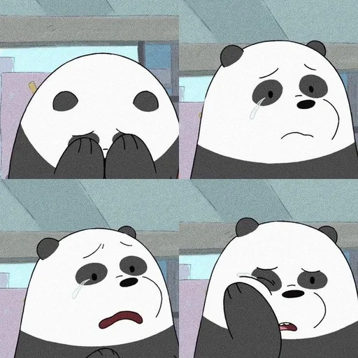 bare bears, panda bear, the whole truth about bears, the whole truth of pan pan xiong, all the truth about bears panda little