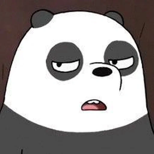 panda, anak laki-laki, meme panda, bare bears panda meme, seluruh kebenaran tentang beruang panda kecil