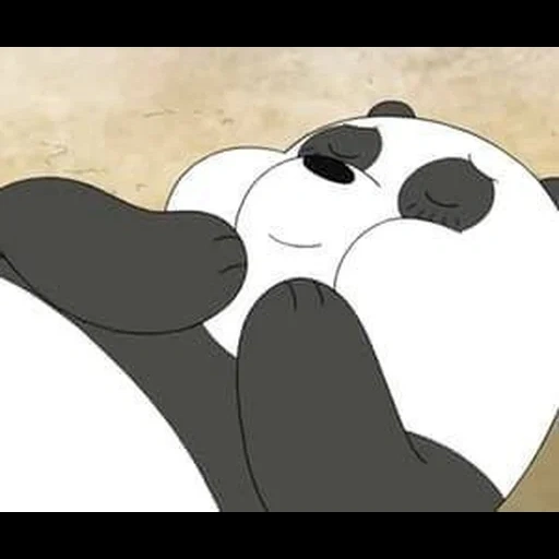 darkness, bear panda, the whole truth about bears, the whole truth of panda bear, whole bear truth panda wallpaper