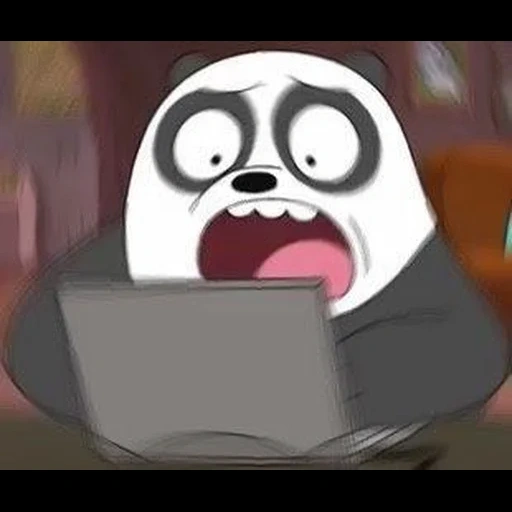 anime, beruang, beruang itu lucu, beruang biasa, kami adalah panda beruang biasa