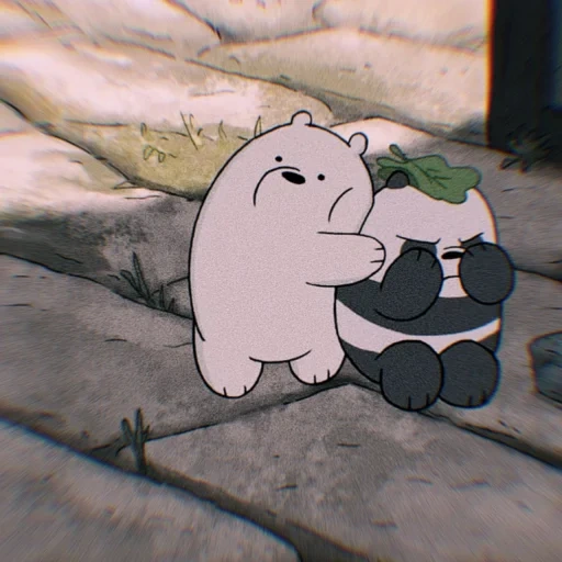 bare bears, the whole truth about bears, ice bear we bare bears, aesthetic cartoon we naked bear, grizzly bear panda white bear truth