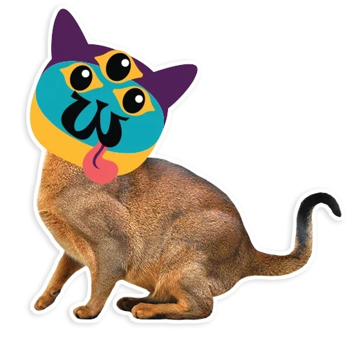 gato, gato de boman, gato abissiano, fundo transparente de gato, clip art gosta de cor de fundo transparente de gato