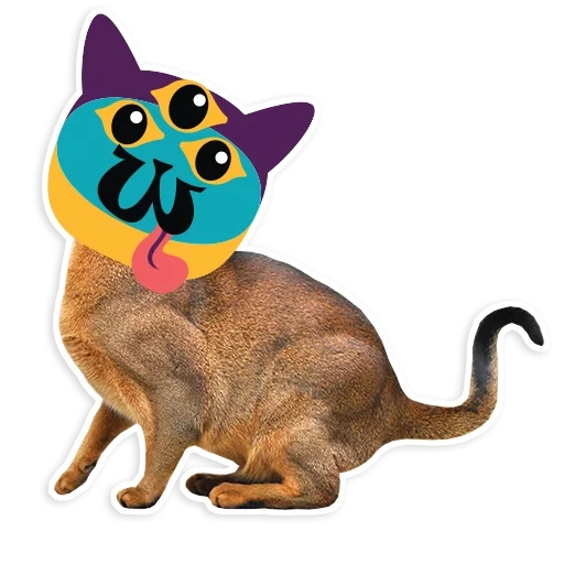 gato, gato de burman, gato abisinio, antecedentes transparentes de gatos, clipart como fondo transparente de gato