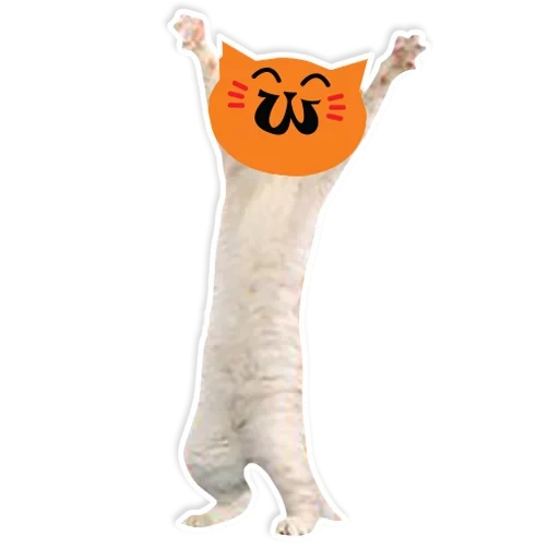 kucing mainan, kucing mainan mewah, mainan bantal kucing panjang, roti kucing mainan mewah 50cm, mainan mewah bantal kucing panjang