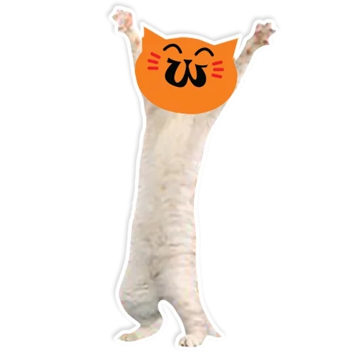 chat jouet, chat en peluche, jouet oreiller long chat, jouet en peluche avec pain de chat 50cm, jouet en peluche avec oreiller long chat