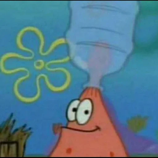 patrick, patrick starr, patrick está confundido, patrick es incómodo, patrick bob esponja