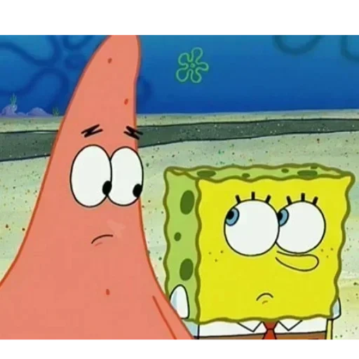 bob sponge, spons bob dengan bulu mata, sponge bob adalah persegi, sponge bob karakul bob, spongebob squarepants