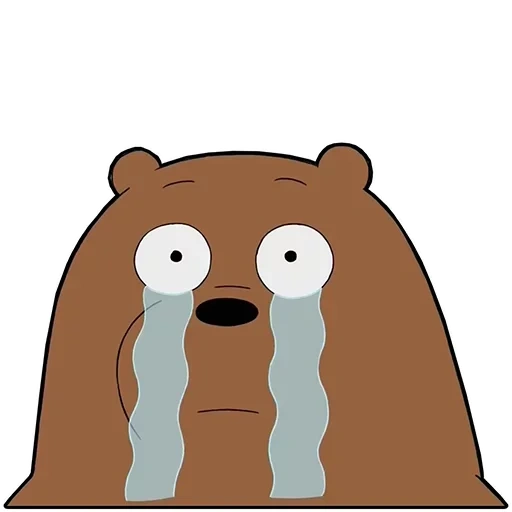 bear meme, we bare bears, the whole truth about bears