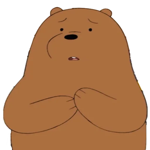 urso, o urso é fofo, urso urso, o urso é marrom, toda a verdade sobre os ursos