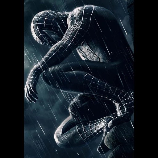 spider-man, black spider-man, black man spider 2007, spider-man 3 the enemy of reflection, spider-man 3 enemy reflective poster