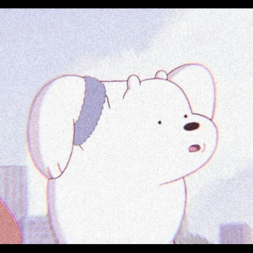 picture, human, ice bear, deceived person