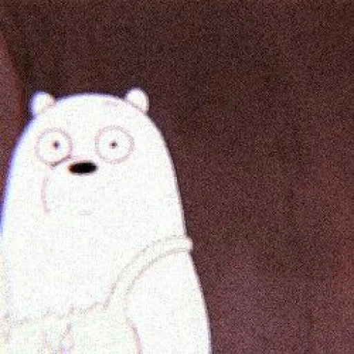 broma, humano, el oso es blanco, el oso es lindo, bears bears ice bear