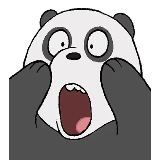 panda, the bear is cute, surprised panda, white panda grisli, we are ordinary bears panda