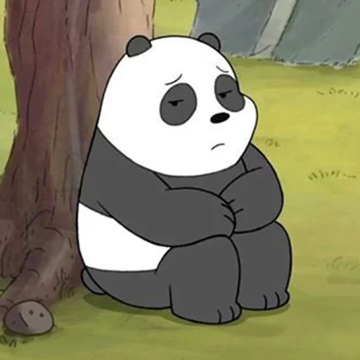 грустный панда, вся правда о медведях, белый вся правда о медведях, вся правда о медведях панда, панда мультика вся правда о медведях
