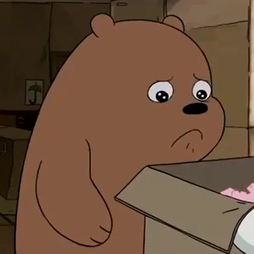 мальчик, медведь, медведь милый, медведь гризли, ice bear we bare bears