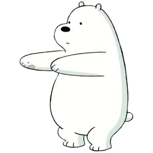 urso polar, o urso é branco, ursos comuns brancos, toda a verdade sobre os ursos, branco toda a verdade sobre ursos