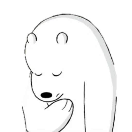 immagine, l'orso è carino, orso polare, orso di ghiaccio noi orsi nudi, orsi bare bears orso bianco