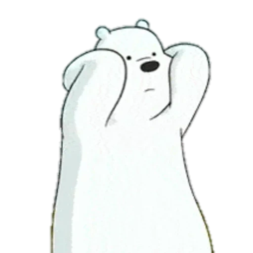 orso polare, cioriamo gli orsi bianchi, bianco tutta la verità sugli orsi, orsi bare bears orso bianco