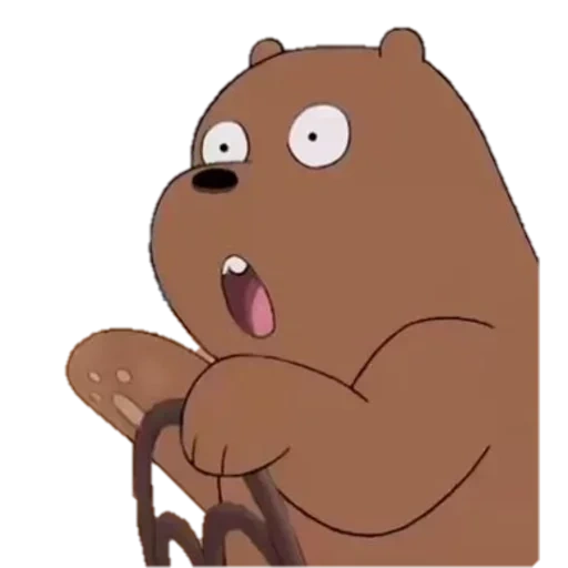 beruang, bare bears, semua kebenaran tentang beruang, semua kebenaran tentang beruang grizzly